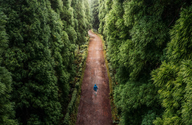 Finding a Career Path (Career Script)